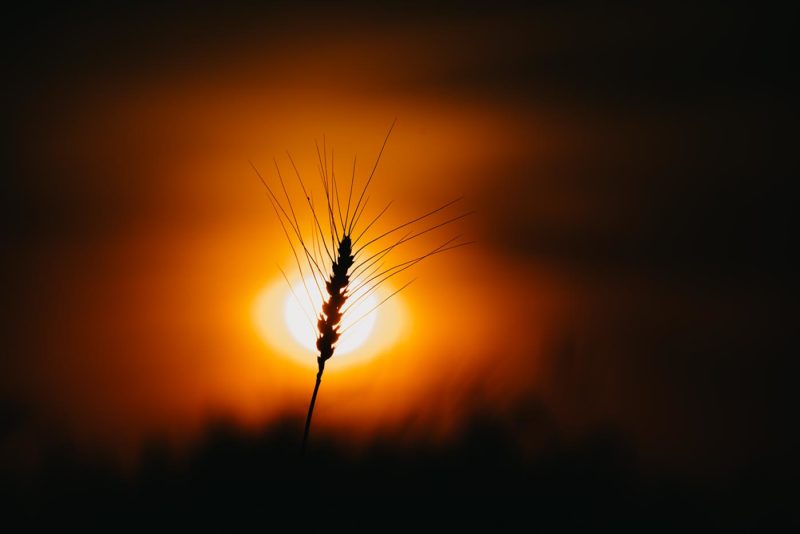 Фото природы 7