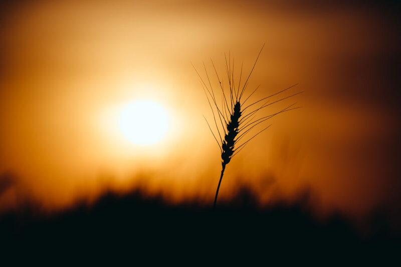 Фото природы 14