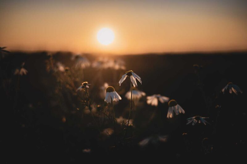 Фото природы 1