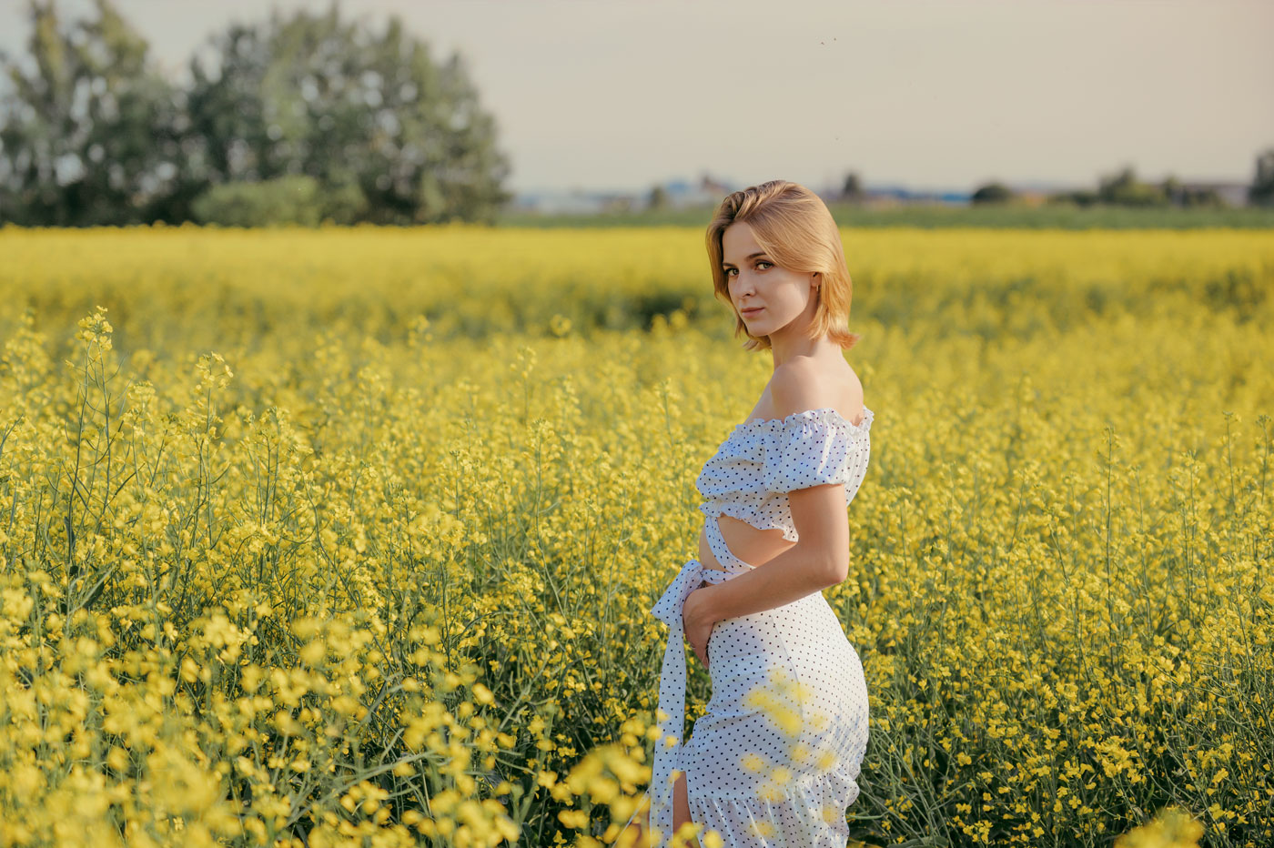 Пшеничные поля в Ярославле | dsc 4516