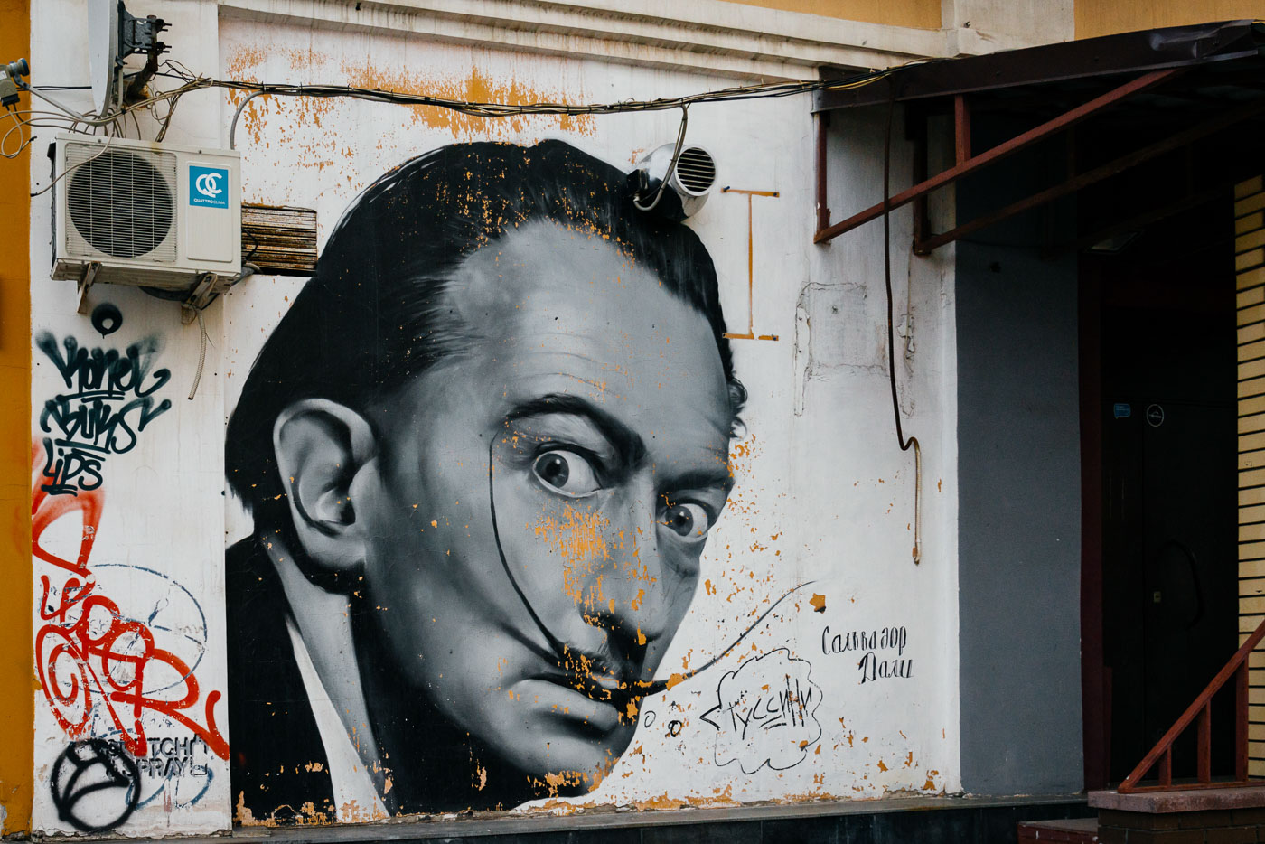 Фото Ярославля | Граффити Сальвадор Дали на улице Свободы