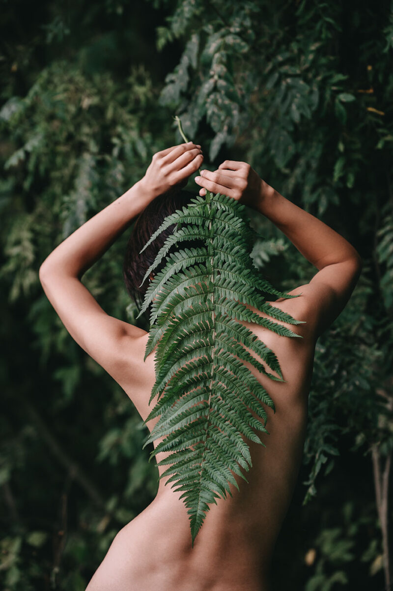 Художественное ню с папоротником в лесу