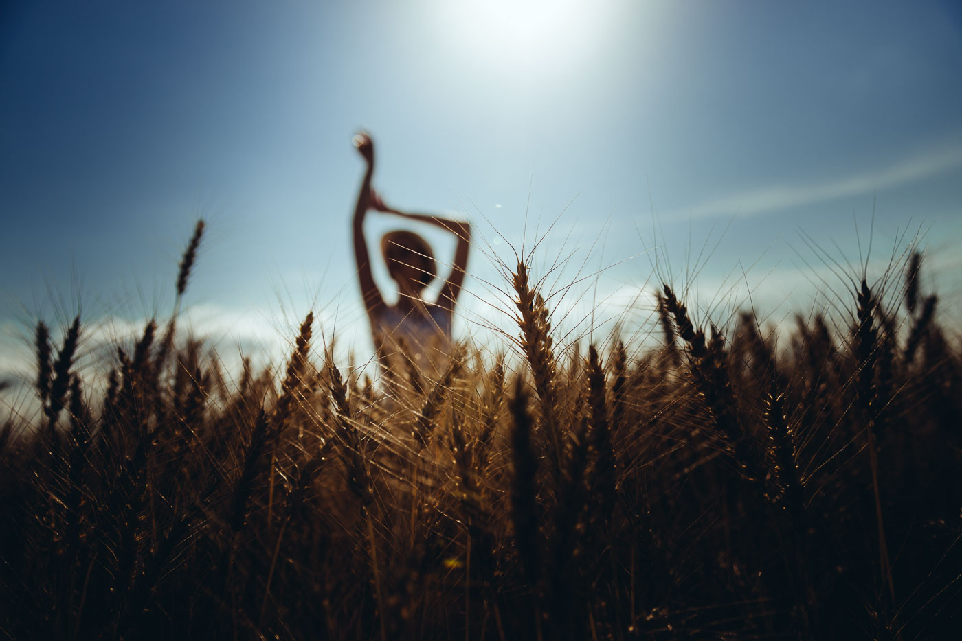 Фотосессия в июле на пшеничном поле | dsc_3559