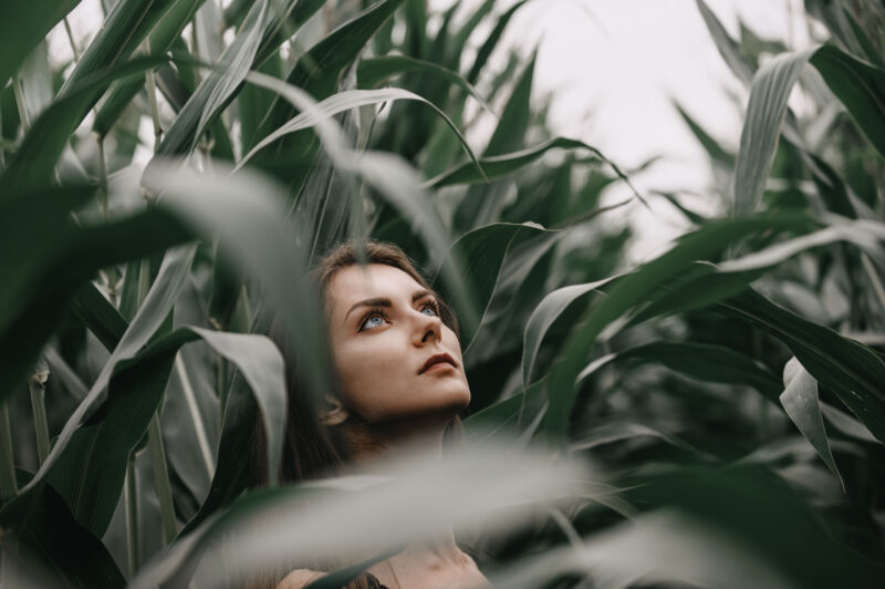 Фотосессия в кукурузе | dsc_6863-1
