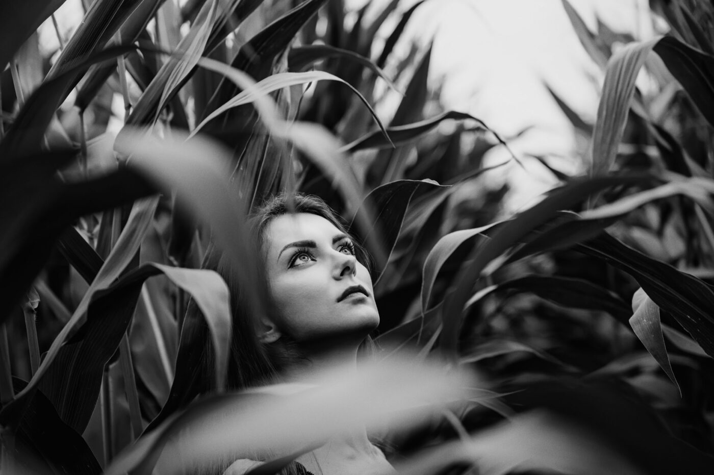 Фотосессия в кукурузе