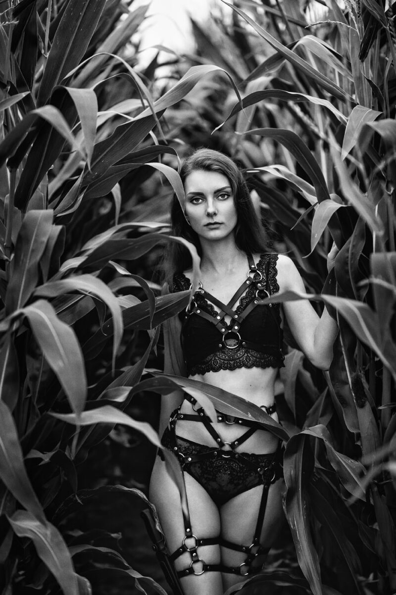 Фотосессия в кукурузе | dsc_7213-nef_dxo_deepprime