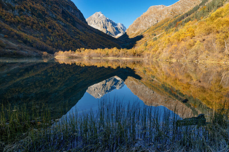 Природа | _DSC5785