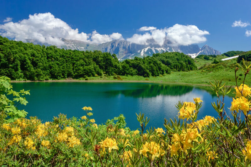 Природа | DSC_01447 (2)