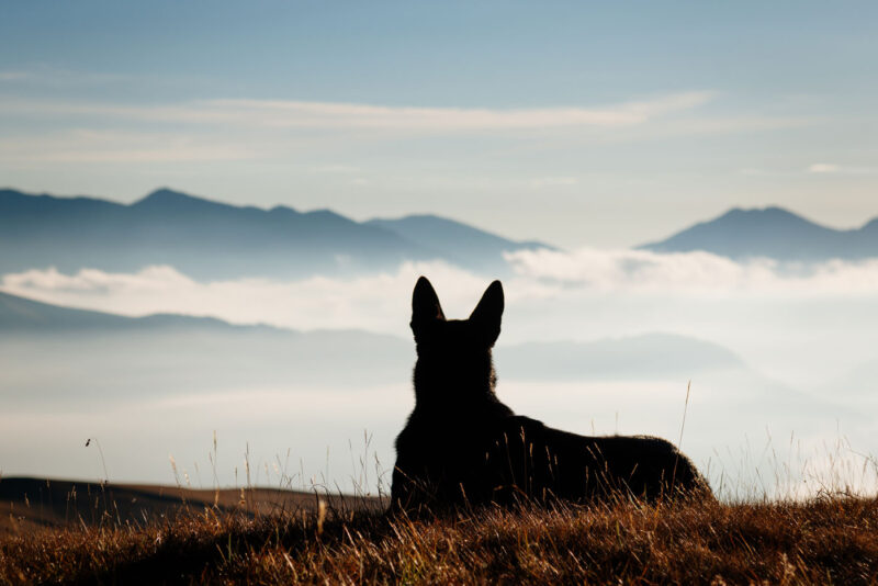 Природа | DSC_0370-copy