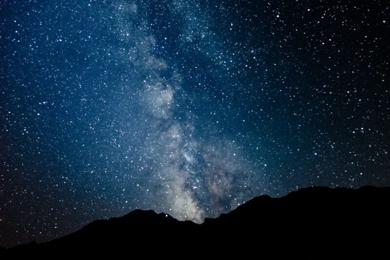 Природа | DSC_1006