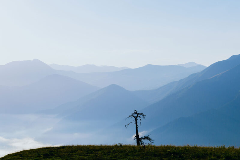 Природа | DSC_1576-3