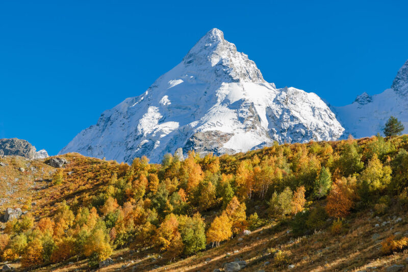 Природа | DSC_2186