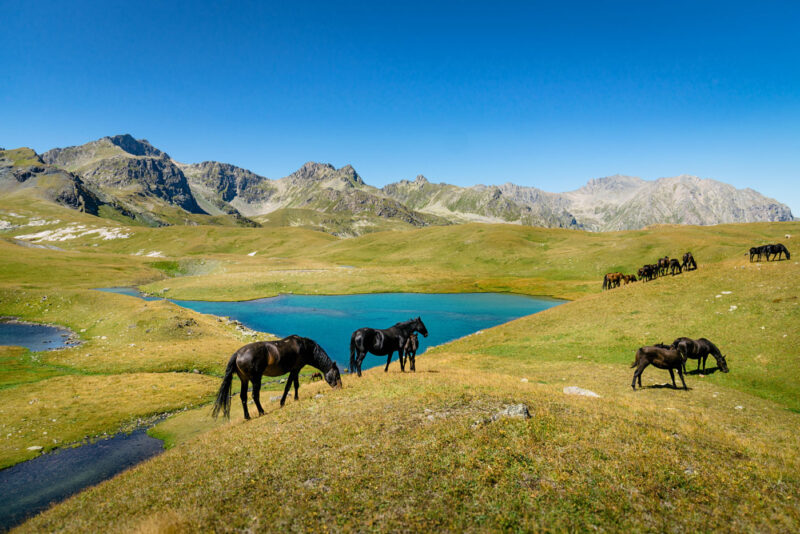 Природа | DSC_4002