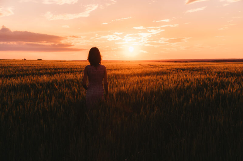 Вид со спины на девушку на пшеничном поле, смотрящую на заходящее солнце