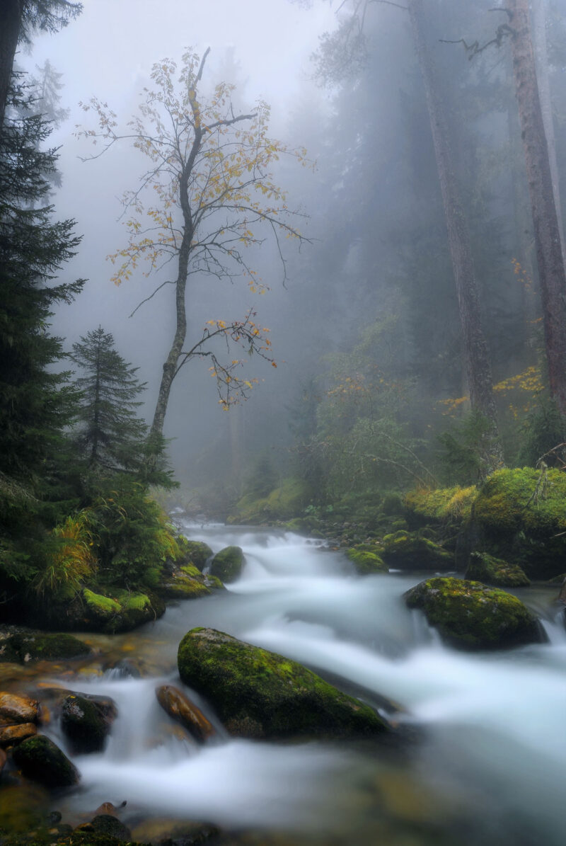 Природа | DSC_8967-69