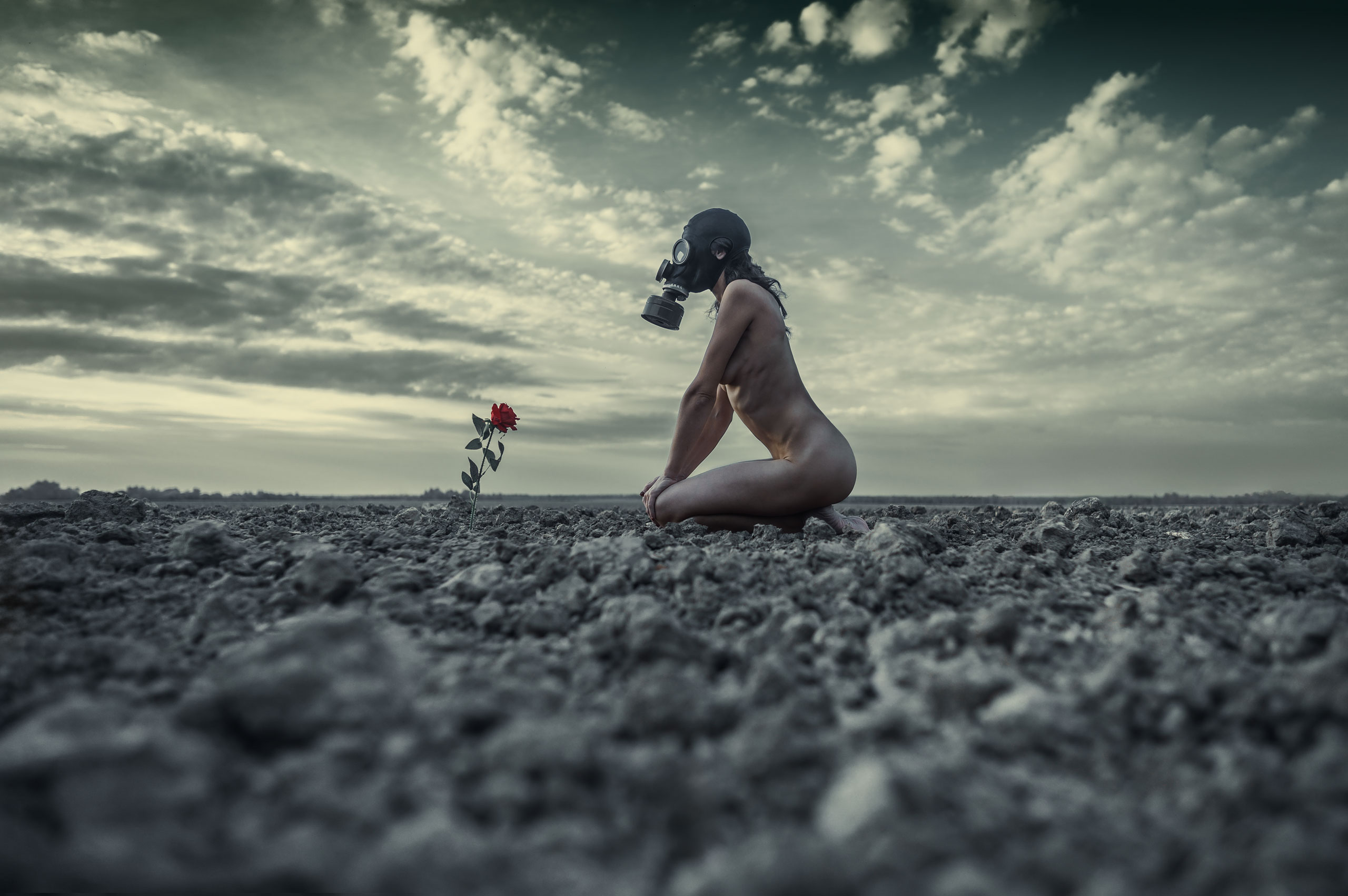 Обнажённая девушка в противогазе сидит рядом с красной розой в пустыне на фоне мёртвой природы постапокалипсиса