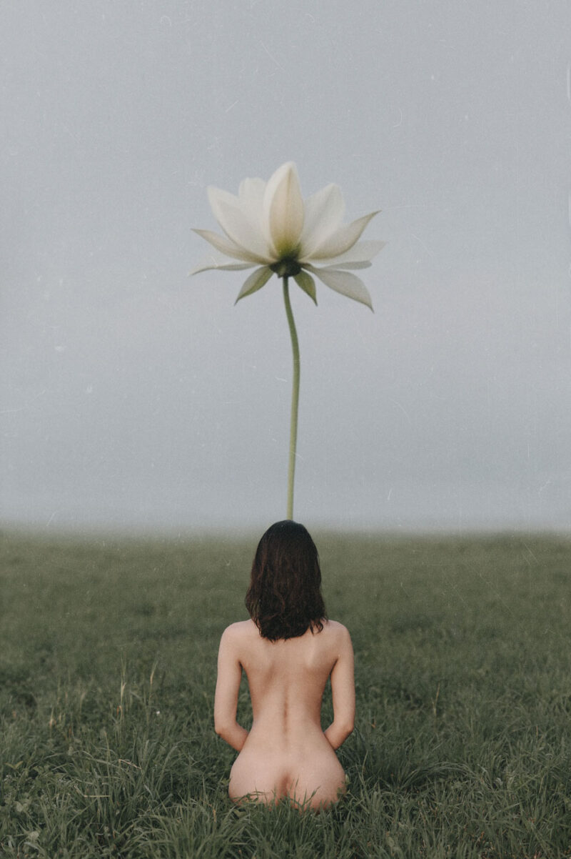 Художественная фотография в жанре ню - обнажённая девушка сидит спиной к камере перед большим цветком