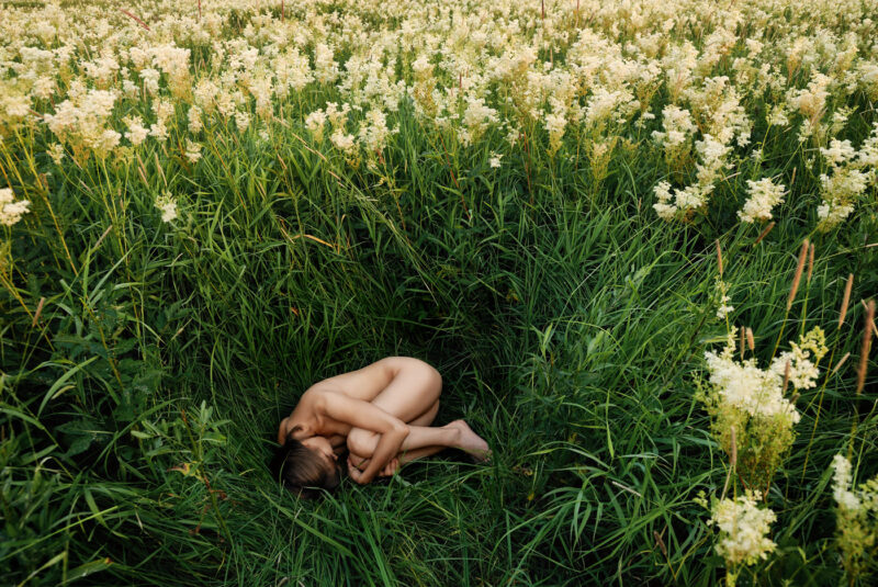 обнажённая девушка на художественном снимке в позе эмбриона среди цветов